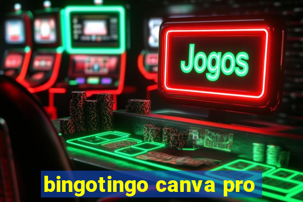 bingotingo canva pro